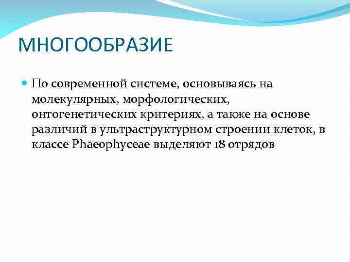 МНОГООБРАЗИЕ По современной системе, основываясь на молекулярных, морфологических, онтогенетических критериях, а также на основе