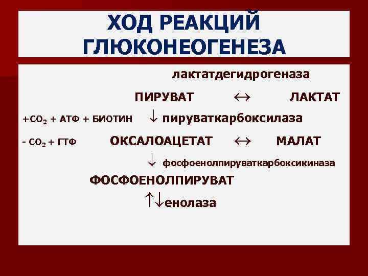 ХОД РЕАКЦИЙ ГЛЮКОНЕОГЕНЕЗА лактатдегидрогеназа ПИРУВАТ +СО 2 + АТФ + БИОТИН - СО 2