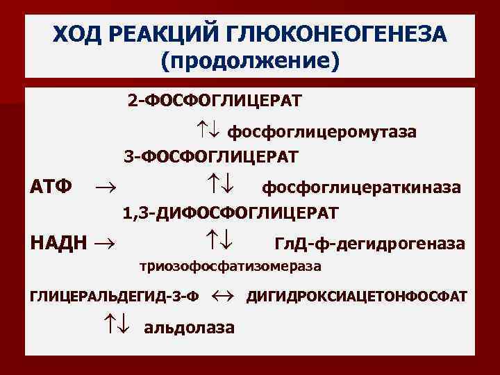 ХОД РЕАКЦИЙ ГЛЮКОНЕОГЕНЕЗА (продолжение) 2 -ФОСФОГЛИЦЕРАТ фосфоглицеромутаза 3 -ФОСФОГЛИЦЕРАТ АТФ фосфоглицераткиназа 1, 3 -ДИФОСФОГЛИЦЕРАТ