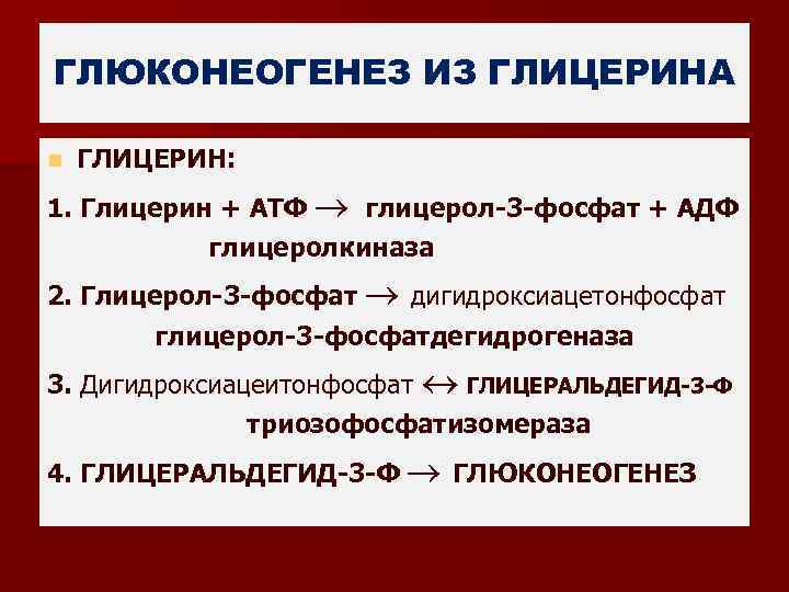 ГЛЮКОНЕОГЕНЕЗ ИЗ ГЛИЦЕРИНА n ГЛИЦЕРИН: 1. Глицерин + АТФ глицерол-3 -фосфат + АДФ глицеролкиназа