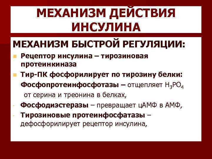 МЕХАНИЗМ ДЕЙСТВИЯ ИНСУЛИНА МЕХАНИЗМ БЫСТРОЙ РЕГУЛЯЦИИ: Рецептор инсулина – тирозиновая протеинкиназа n Тир-ПК фосфорилирует