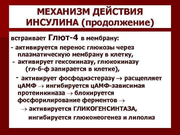 МЕХАНИЗМ ДЕЙСТВИЯ ИНСУЛИНА (продолжение) встраивает Глют-4 в мембрану: - активируется перенос глюкозы через плазматическую