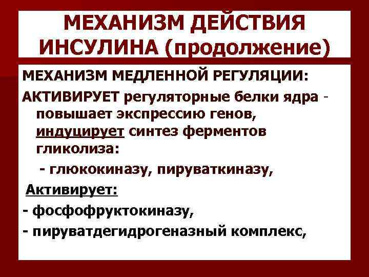 МЕХАНИЗМ ДЕЙСТВИЯ ИНСУЛИНА (продолжение) МЕХАНИЗМ МЕДЛЕННОЙ РЕГУЛЯЦИИ: АКТИВИРУЕТ регуляторные белки ядра - повышает экспрессию