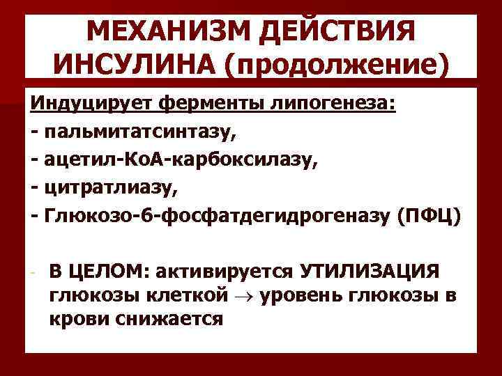 МЕХАНИЗМ ДЕЙСТВИЯ ИНСУЛИНА (продолжение) Индуцирует ферменты липогенеза: - пальмитатсинтазу, - ацетил-Ко. А-карбоксилазу, - цитратлиазу,