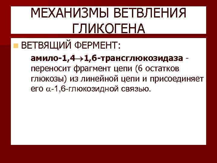 МЕХАНИЗМЫ ВЕТВЛЕНИЯ ГЛИКОГЕНА n ВЕТВЯЩИЙ ФЕРМЕНТ: – амило-1, 4 1, 6 -трансглюкозидаза - переносит