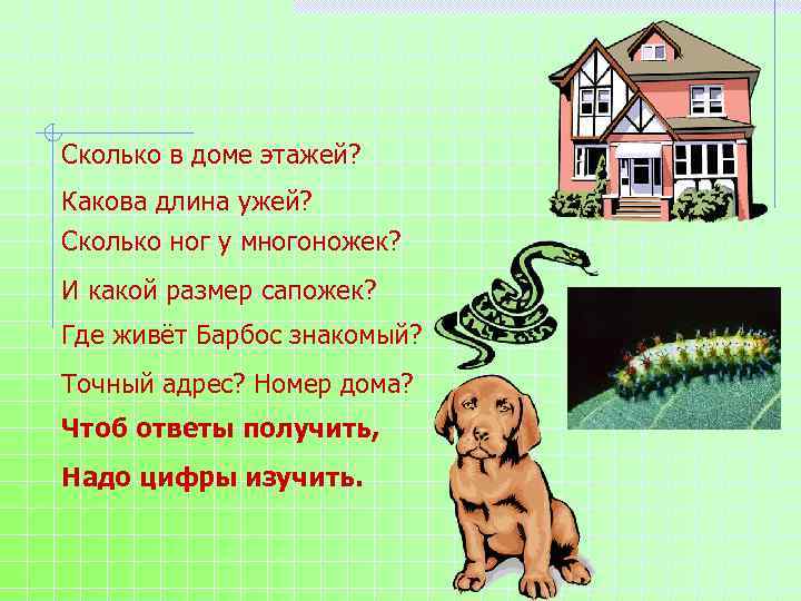 Сколько в доме этажей? Какова длина ужей? Сколько ног у многоножек? И какой размер