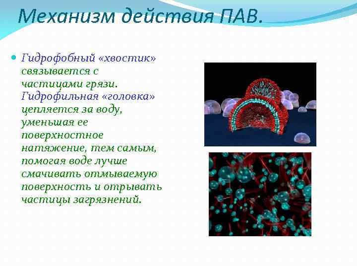Механизм действия ПАВ. Гидрофобный «хвостик» связывается с частицами грязи. Гидрофильная «головка» цепляется за воду,