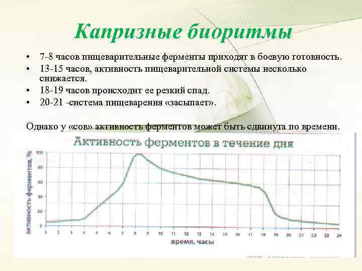 Капризные биоритмы • 7 -8 часов пищеварительные ферменты приходят в боевую готовность. • 13