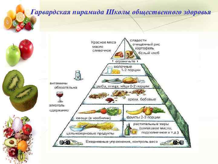 Гарвардская пирамида Школы общественного здоровья 