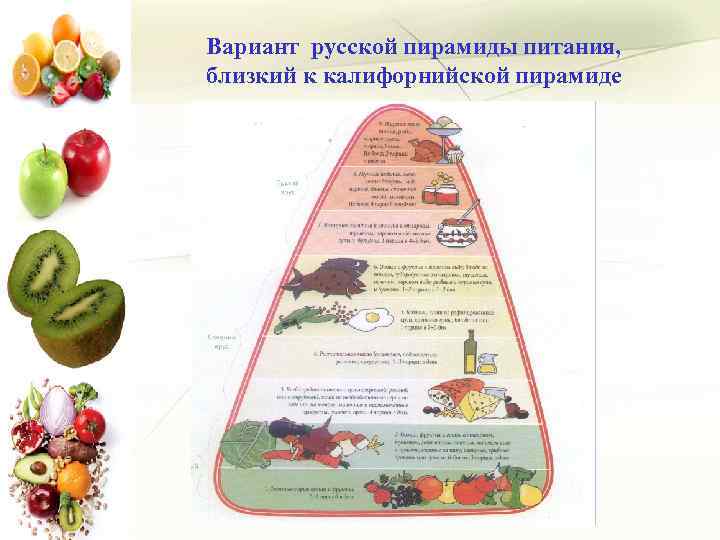 Вариант русской пирамиды питания, близкий к калифорнийской пирамиде 