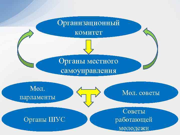 Организационный комитет Органы местного самоуправления Мол. парламенты Органы ШУС Мол. советы Советы работающей молодежи