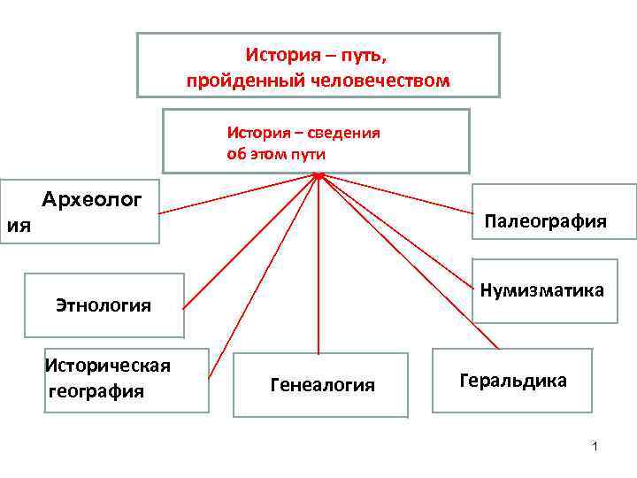История – путь, пройденный человечеством История – сведения об этом пути Археолог Палеография ия