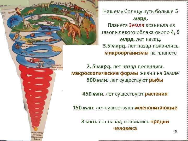 Нашему Солнцу чуть больше 5 млрд. Планета Земля возникла из газопылевого облака около 4,