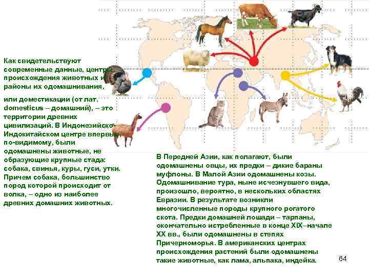 Схема одомашнивания животных