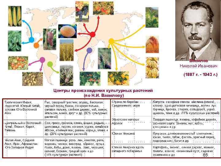 Сообщение происхождение культурных растений биология 7 класс