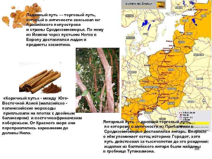 Янтарный путь. Янтарный путь на карте. Великий Янтарный путь. Янтарный торговый путь. Янтарный путь в древности.