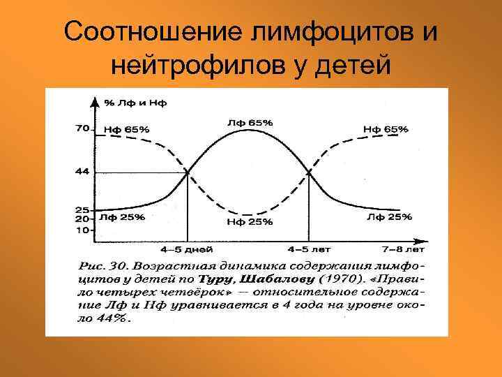 Графическое соотношение. Первый и второй Перекрест нейтрофилов и лимфоцитов. Соотношение лимфоцитов и нейтрофилов в крови у детей. Первый Перекрест Кривой нейтрофилов и лимфоцитов крови у детей. Перекрест лимфоцитов и нейтрофилов у детей.