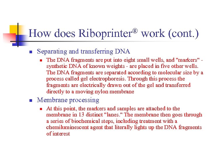 How does Riboprinter® work (cont. ) n Separating and transferring DNA n n The