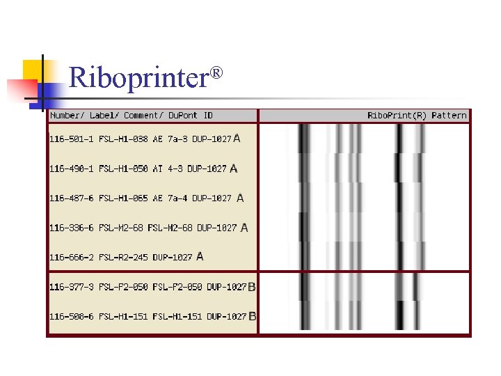 Riboprinter® 