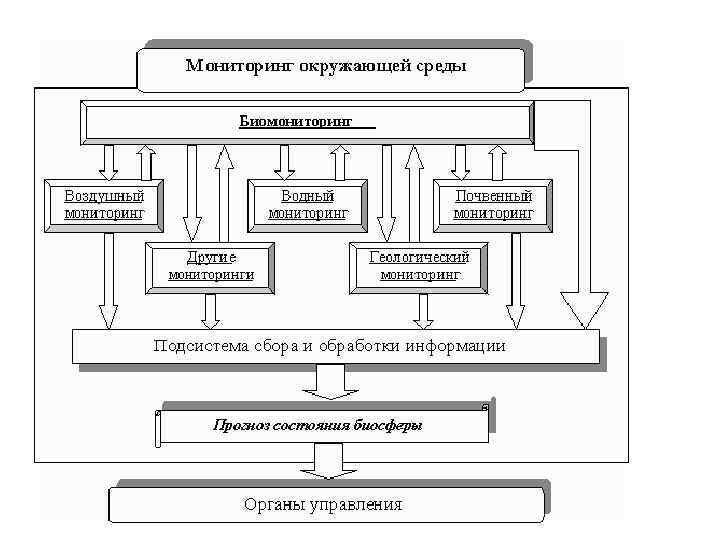 Мониторинг экологического состояния окружающей среды