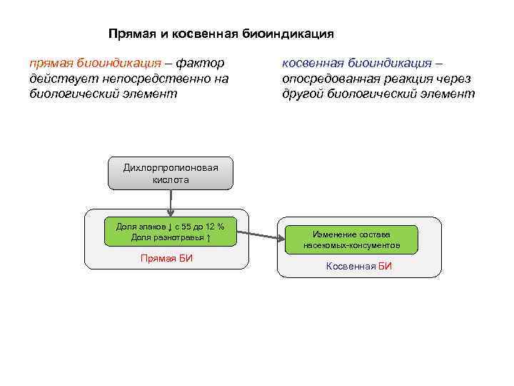 Действует непосредственно. Формы биоиндикации специфическая и неспецифическая. Прямая и косвенная биоиндикация. Формы биоиндикации. Пример косвенной биоиндикации.