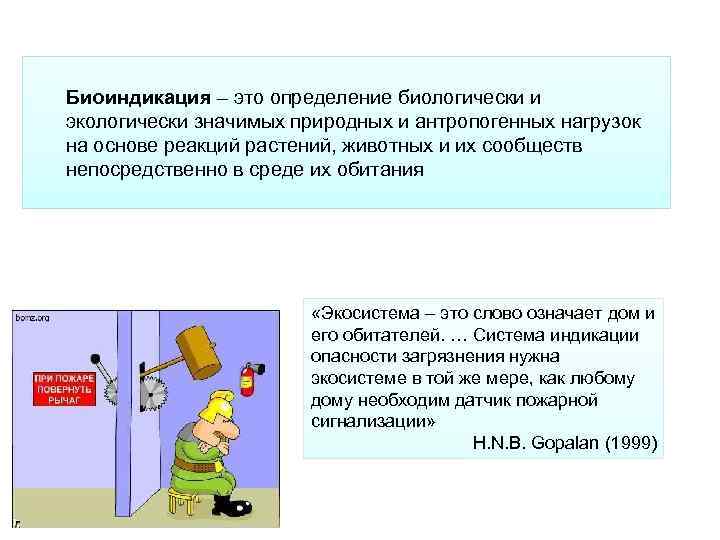Биоиндикация – это определение биологически и экологически значимых природных и антропогенных нагрузок на основе