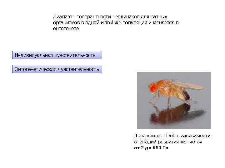 Диапазон толерантности неодинаков для разных организмов в одной и той же популяции и меняется