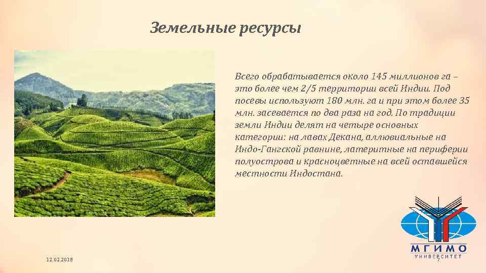 Земельные ресурсы Всего обрабатывается около 145 миллионов га – это более чем 2/5 территории