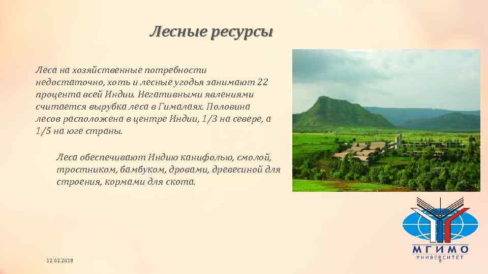 Лесные ресурсы Леса на хозяйственные потребности недостаточно, хоть и лесные угодья занимают 22 процента