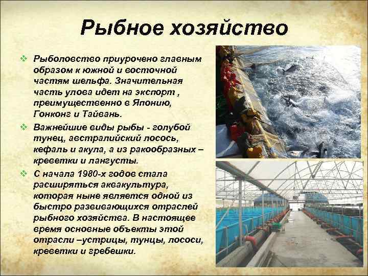 Рыбное хозяйство v Рыболовство приурочено главным образом к южной и восточной частям шельфа. Значительная