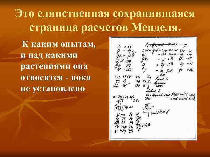 Это единственная сохранившаяся страница расчетов Менделя. К каким опытам, и над какими растениями она