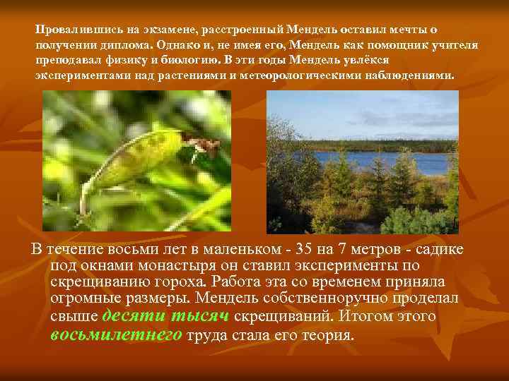Провалившись на экзамене, расстроенный Мендель оставил мечты о получении диплома. Однако и, не имея