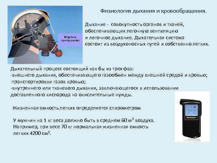 Физиология дыхания и кровообращения. Дыхание - совокупность органов и тканей, обеспечивающих легочную вентиляцию и