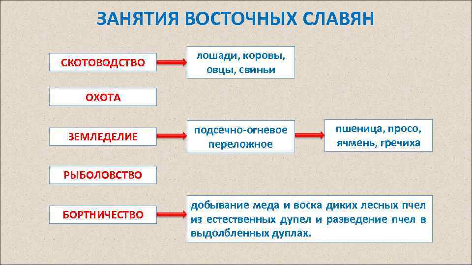 ЗАНЯТИЯ ВОСТОЧНЫХ СЛАВЯН СКОТОВОДСТВО лошади, коровы, овцы, свиньи ОХОТА ЗЕМЛЕДЕЛИЕ подсечно-огневое переложное пшеница, просо,
