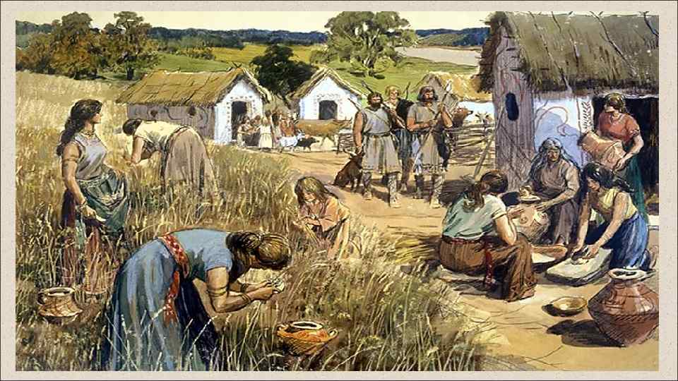 ПОДСЕЧНО-ОГНЕВАЯ СИСТЕМА Деревья подрубались, засыхали на корню и сжигались. После этого пни выкорчевывались, земля