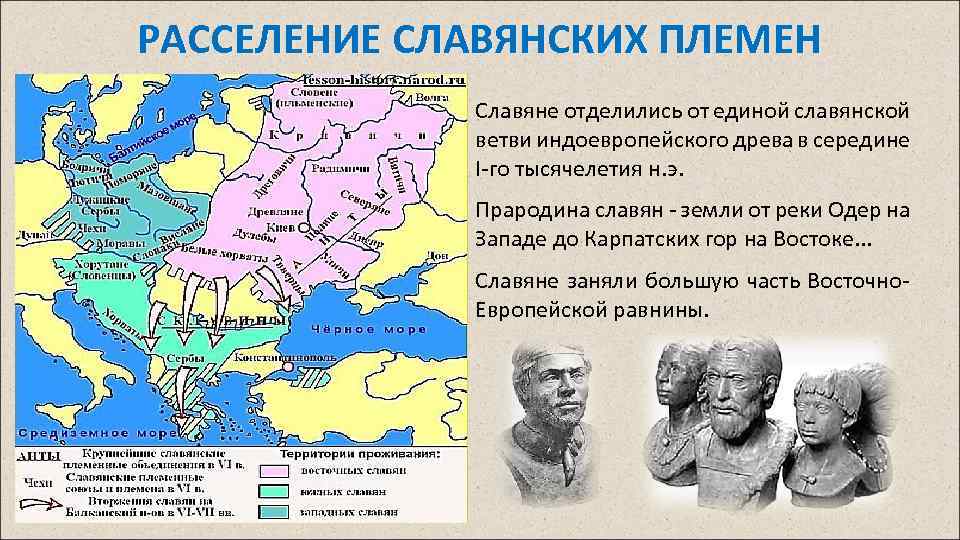 РАССЕЛЕНИЕ СЛАВЯНСКИХ ПЛЕМЕН Славяне отделились от единой славянской ветви индоевропейского древа в середине I-го