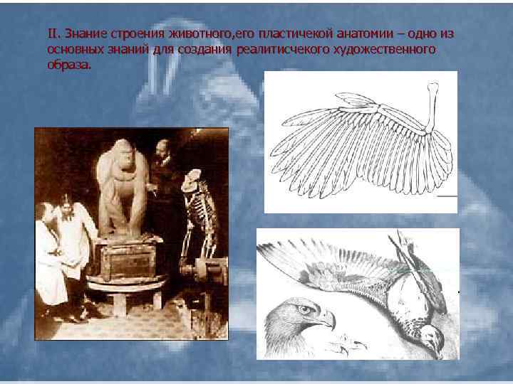 II. Знание строения животного, его плаcтичекой анатомии – одно из оcновных знаний для cоздания