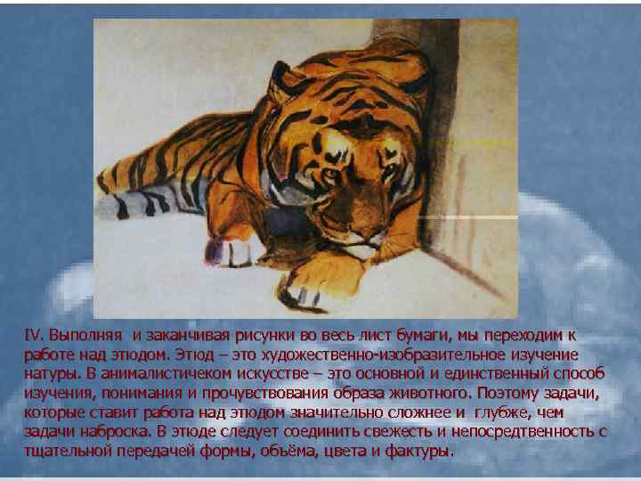 IV. Выполняя и заканчивая рисунки во весь лист бумаги, мы переходим к работе над