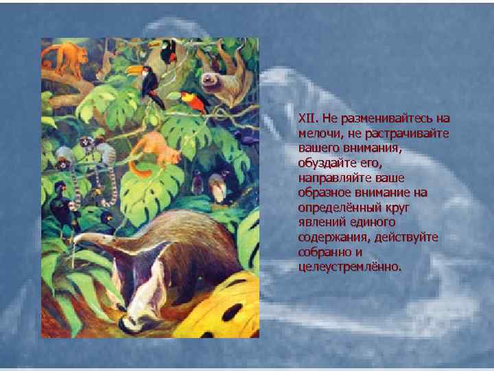 XII. Не разменивайтесь на мелочи, не растрачивайте вашего внимания, обуздайте его, направляйте ваше образное