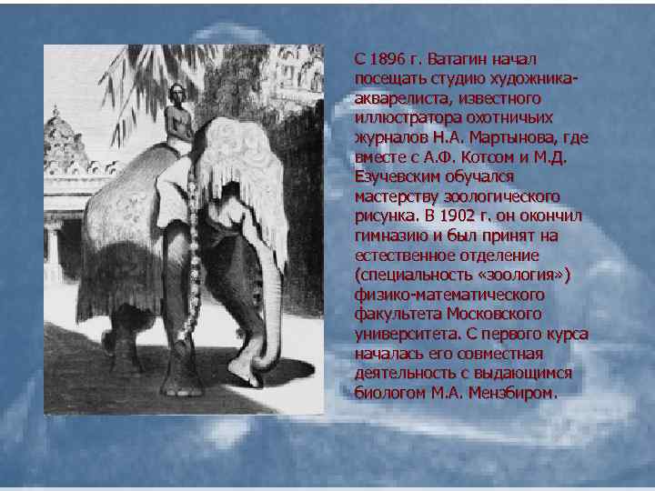 С 1896 г. Ватагин начал посещать студию художникаакварелиста, известного иллюстратора охотничьих журналов Н. А.