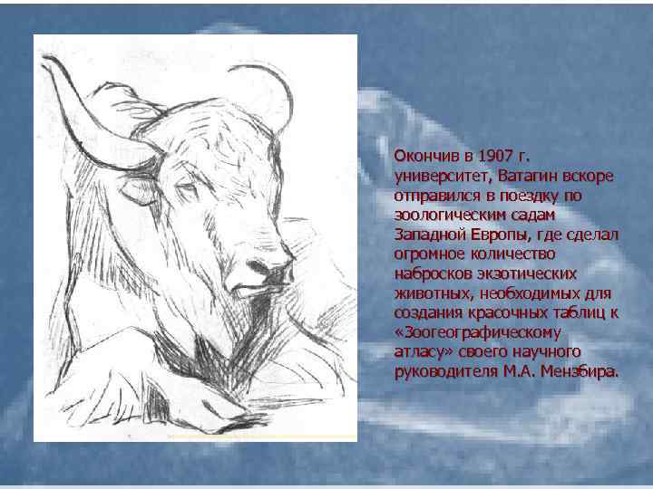 Окончив в 1907 г. университет, Ватагин вскоре отправился в поездку по зоологическим садам Западной