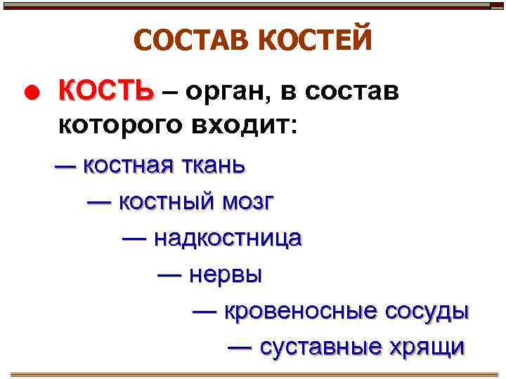 СОСТАВ КОСТЕЙ КОСТЬ – орган, в состав которого входит: ― костная ткань ― костный