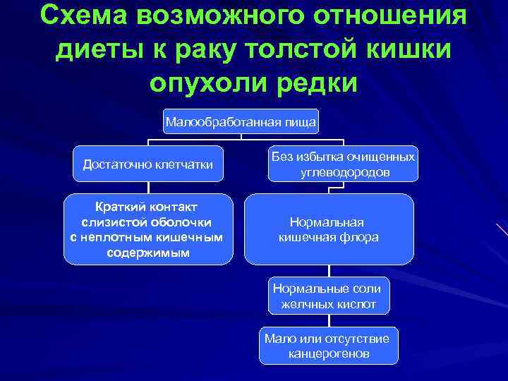 Схема возможного отношения диеты к раку толстой кишки опухоли редки Малообработанная пища Достаточно клетчатки