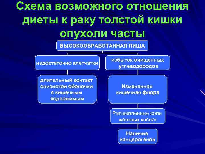 Схема возможного отношения диеты к раку толстой кишки опухоли часты ВЫСОКООБРАБОТАННАЯ ПИЩА недостаточно клетчатки