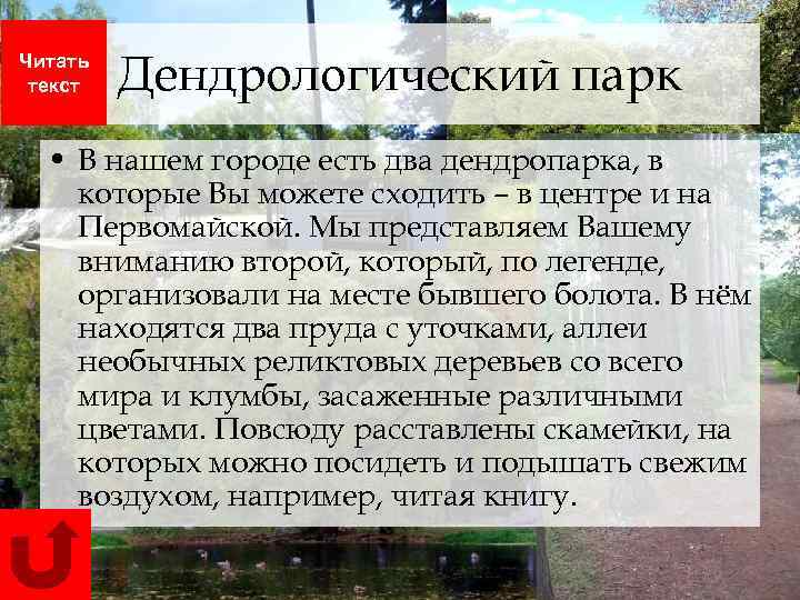 Читать текст Дендрологический парк • В нашем городе есть два дендропарка, в которые Вы