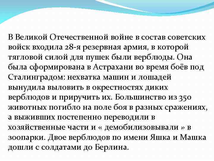 В Великой Отечественной войне в состав советских войск входила 28 -я резервная армия, в