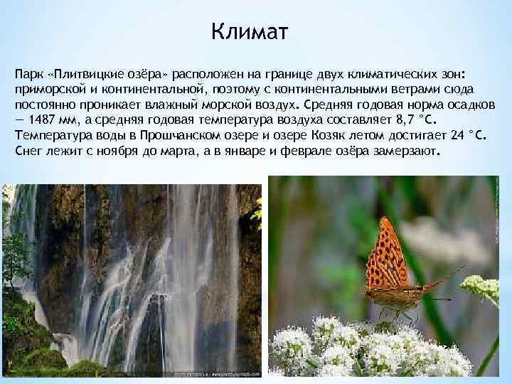 Климат Парк «Плитвицкие озёра» расположен на границе двух климатических зон: приморской и континентальной, поэтому
