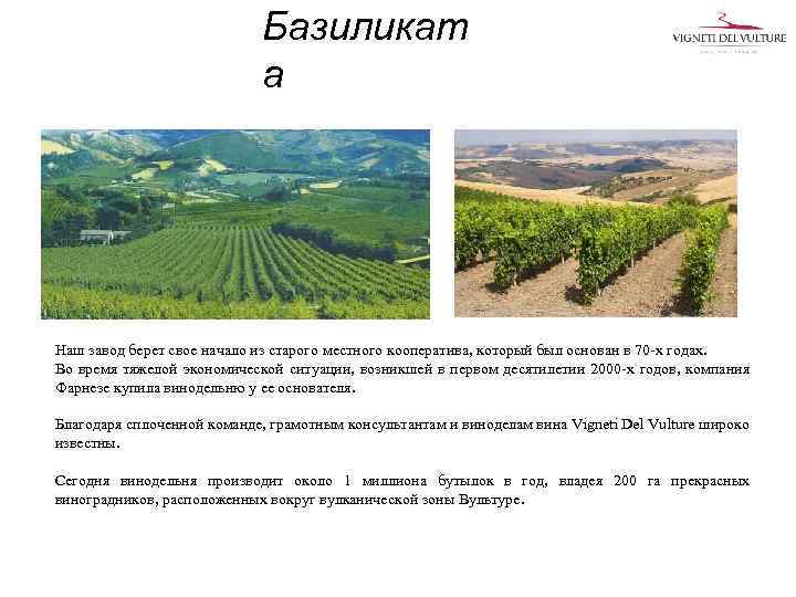 Базиликат а Наш завод берет свое начало из старого местного кооператива, который был основан