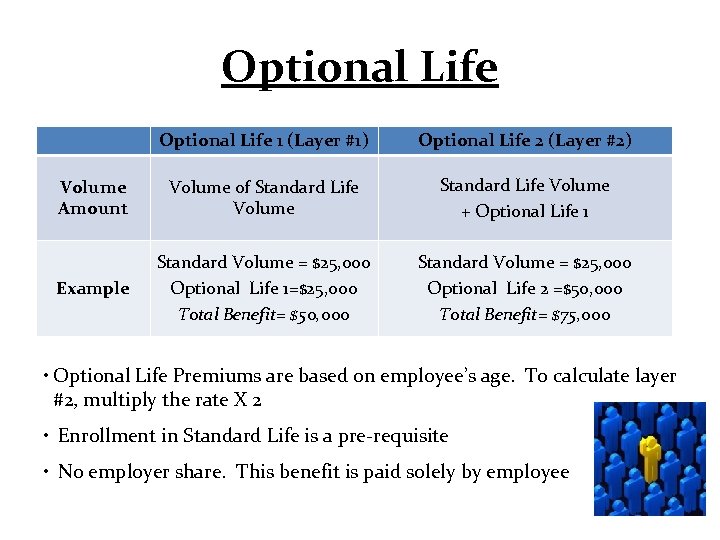 Optional Life 1 (Layer #1) Optional Life 2 (Layer #2) Volume Amount Volume of