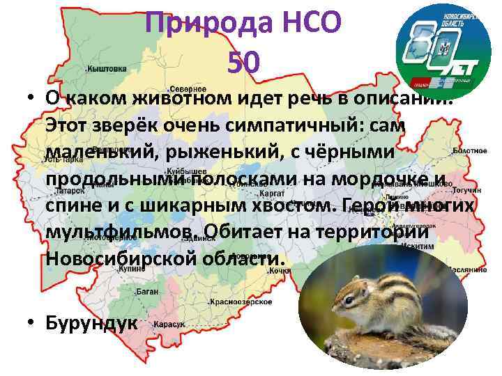 Природа НСО 50 • О каком животном идет речь в описании. Этот зверёк очень
